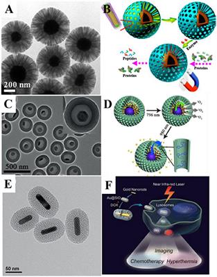 Inorganic Nanocrystals Functionalized Fe 3 O 4 Au nanoparticleslignin